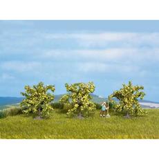 H0/TT Zitronenbäume, 3 Stück, 40 mm hoch